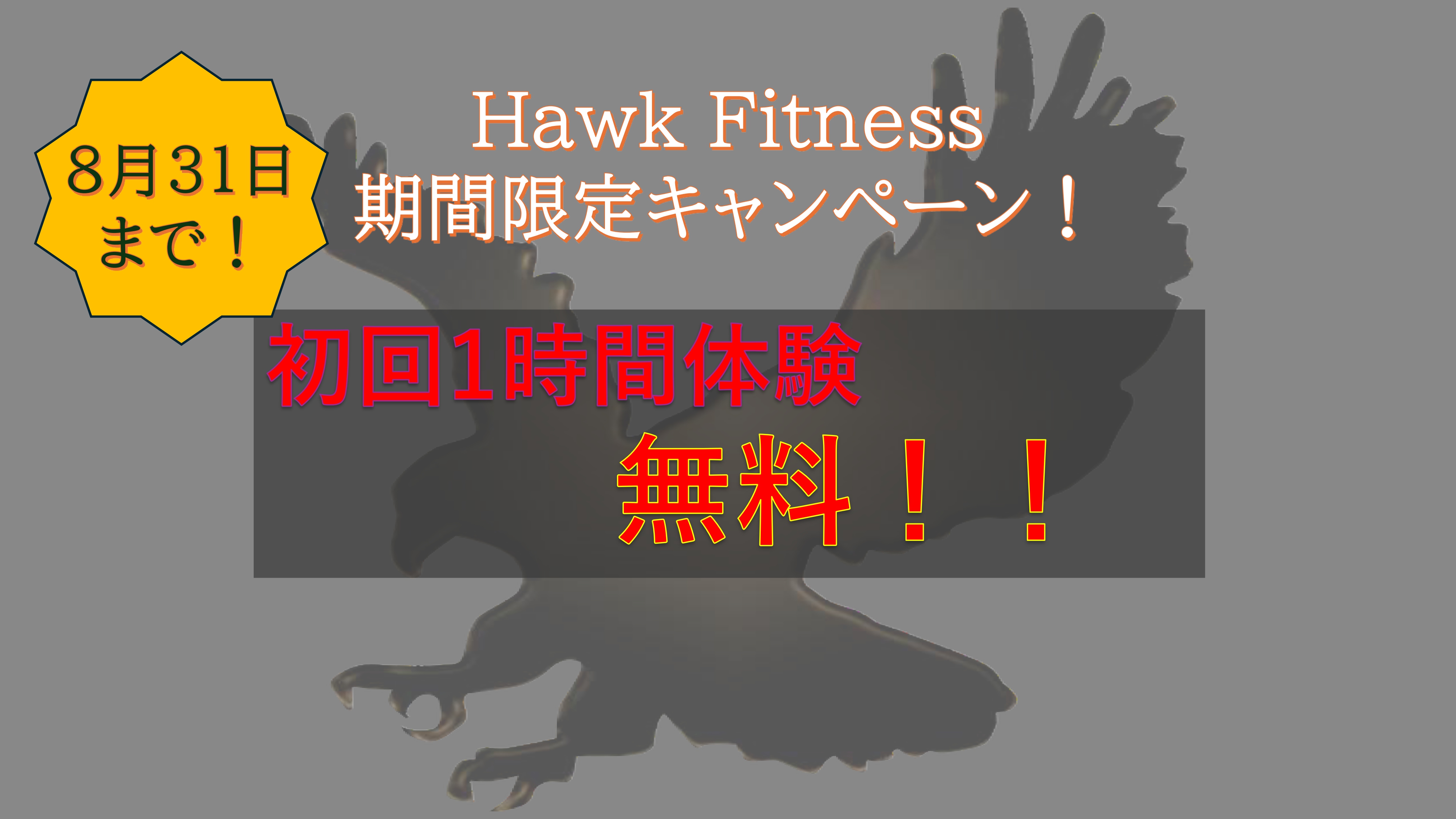 キャンペーン情報